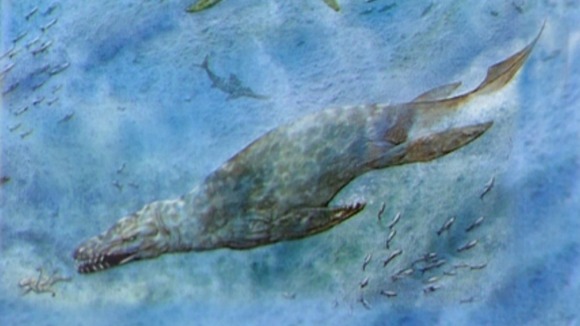 pliosaur drawing