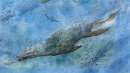 pliosaur drawing