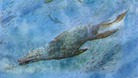 pliosaur drawing