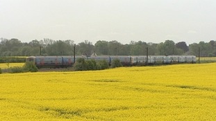 Train