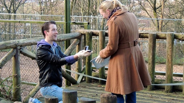 Dean dropped to one knee as Katherine fed her favourite animal