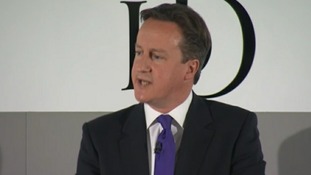 Cameron called for help from other European leadersD