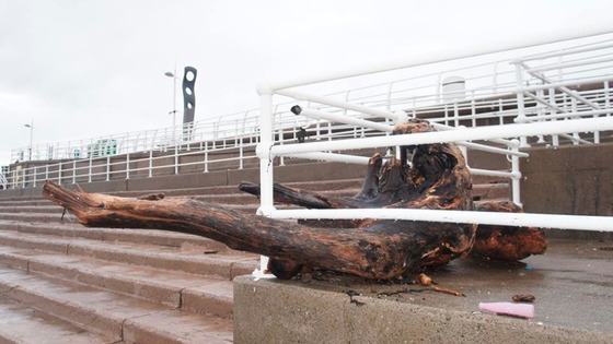 debris
