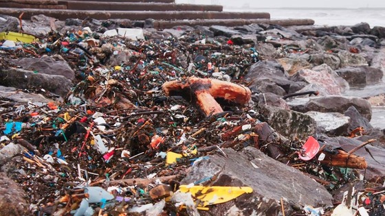 debris