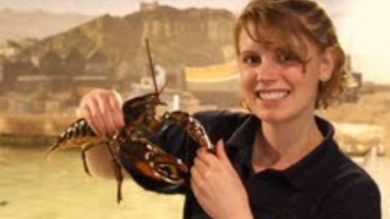 Lobster