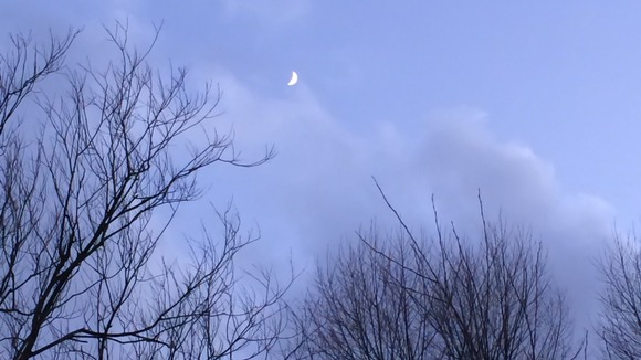 Cold and clear after Monday's rain in the Lee Valley Park in Essex