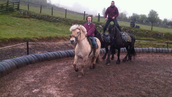 Horses