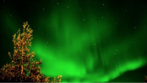 Where will you be able to see the Northern Lights?
