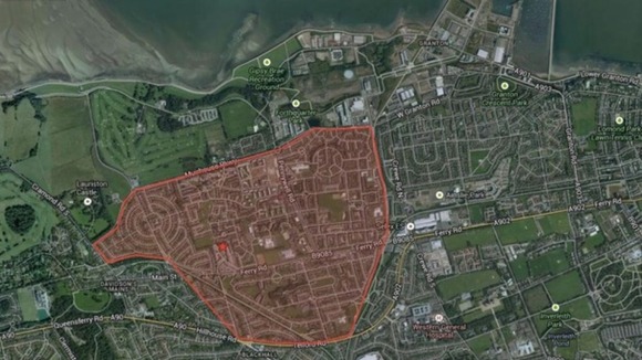 The search area.