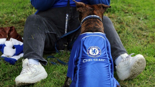 Dog 'Roxy' before before the FA Cup and UEFA Champions League trophy parade in London