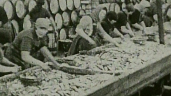 Women working in the herring industry