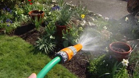 A hosepipe.