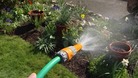 A hosepipe.