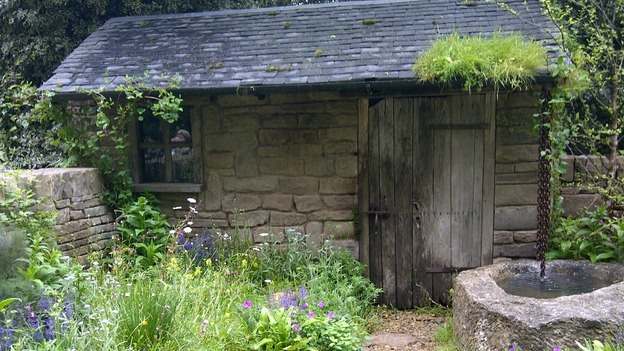 The naturally dry garden