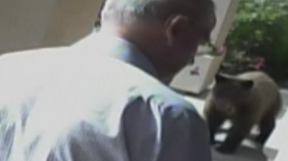 Bob McKeown locks the door to his holiday apartment as the bear watches on