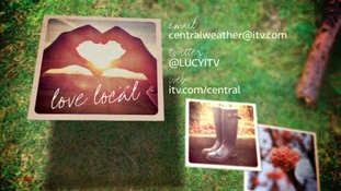LOVE LOCAL: How to contact us