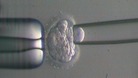 Women over 40 could be allowed IVF on the NHS