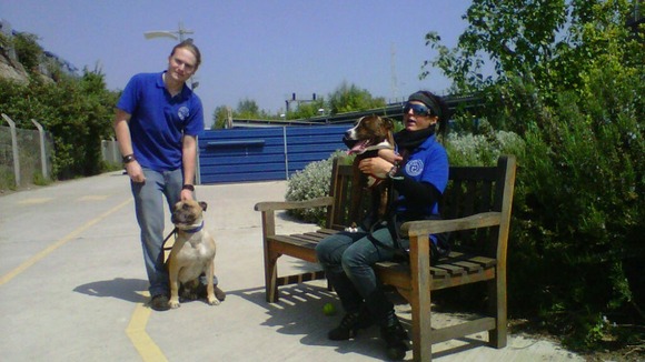 Homeless dogs with staff at Battersea Dogs and Cats Home.