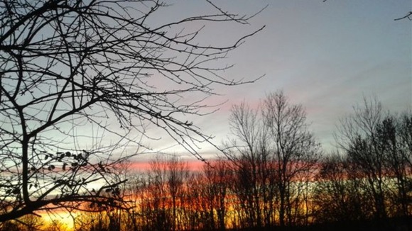 Sunset through the trees at Gretton near Corby, Northamptonshire