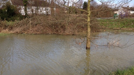 Floods near the river Chelmer