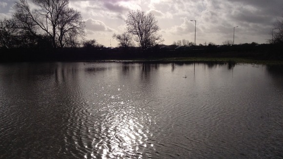 Flooded fields near the river Chelmer