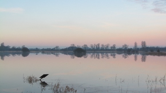 Flooding in the Lower Derwent Valley