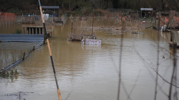 Allotments in Combs Ford , Stowmarket.