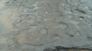 Archeologists have discovered some of the oldest human footprints in the world.