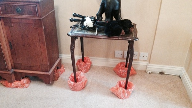 Flood preparations