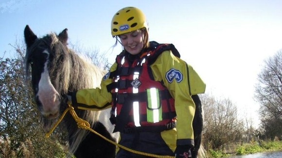 An RSPCA worker leads a horse to safety