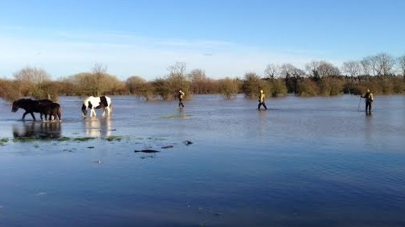 An RSPCA flood rescue team at work in Dorset
