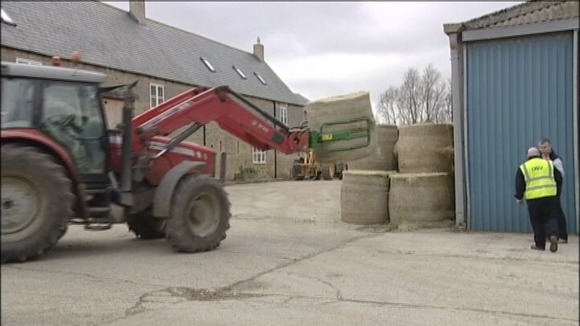 Hay