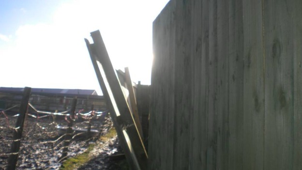 Storm damages animal sanctuary in West Auckland.