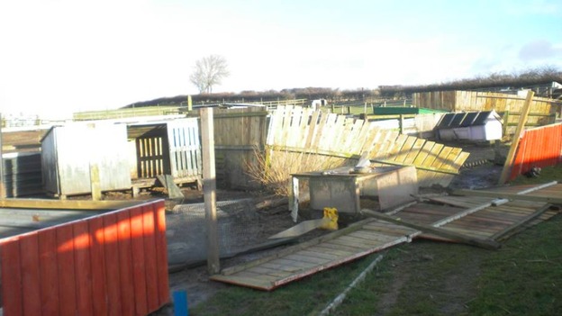 All the animals escaped unharmed after storm battered sanctuary.