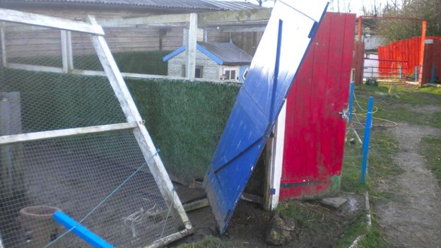 Strong winds caused damage at West Auckland animal sanctuary.