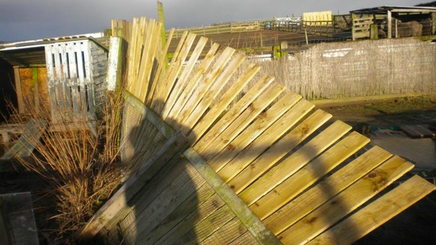 Owners are appealing for help to repair the damage.