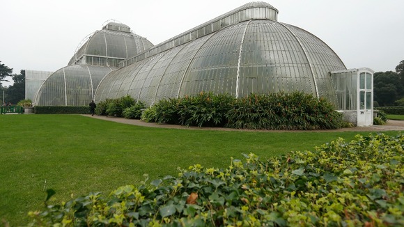 Kew Gardens
