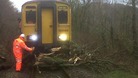 tree on railway line