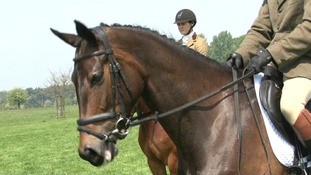 Olympic hopefuls at horse trials at Houghton House