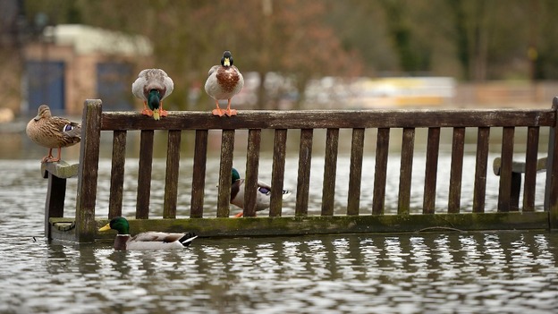 The Met Office had told councils to expect a dry winter.