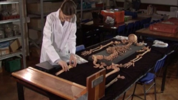 More scientific tests are planned for Richard III's remains