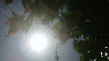 Sunny weather expected this weekend