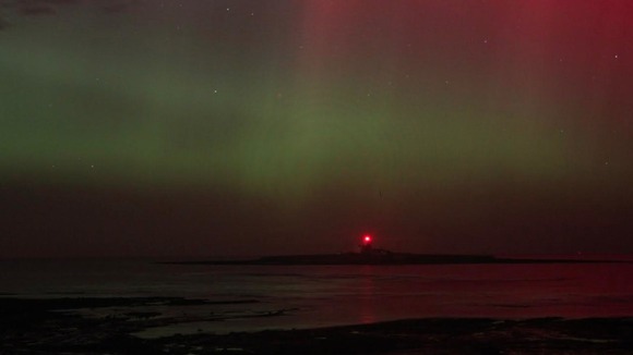 Coquet Island, Northumberland.