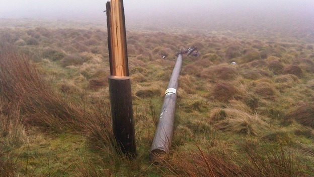 A fallen plyon