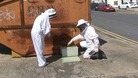 The sunshine has got many of the region's honeybees on the move too.