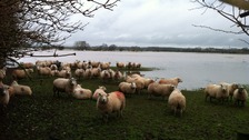 More flooding across the Border region