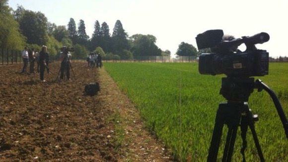 GM wheat trials
