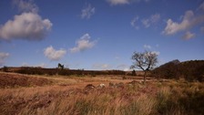 Longshaw Estate, Derbyshire