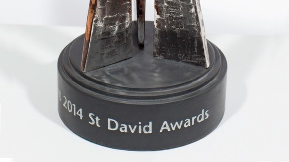 St David Award