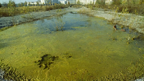 Evacuated Pripyat near Kiev after the Chernobyl nuclear disaster.